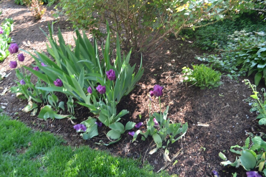 More Photos Of Payne & Hartrey St, Evanston Land For Sale