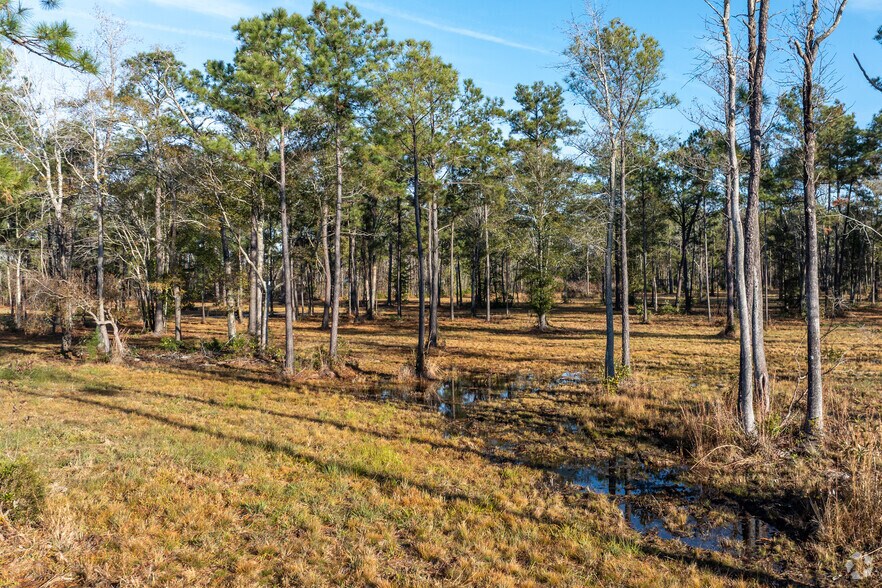 More Photos Of 10118 Blackwell Rd SE, Belville Land For Sale