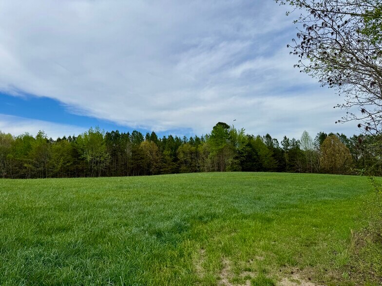 More Photos Of 12301 NC-86, Prospect Hill Land For Sale