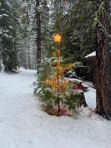 More Photos Of 7582 Buck Brush, Portola Hotel For Sale