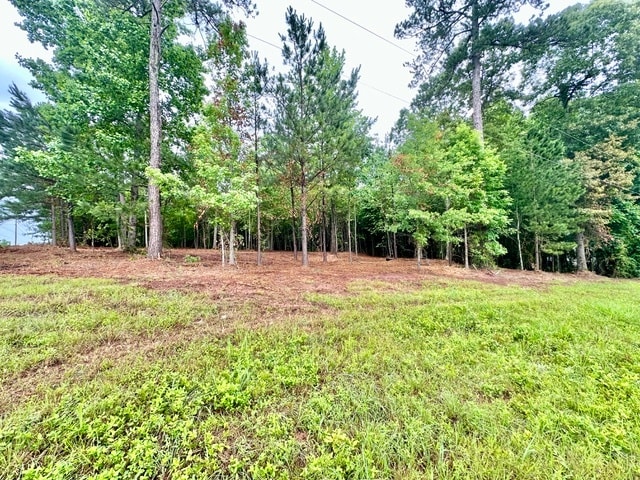 More Photos Of GA-34 Hwy @ Holz, Newnan Land For Sale