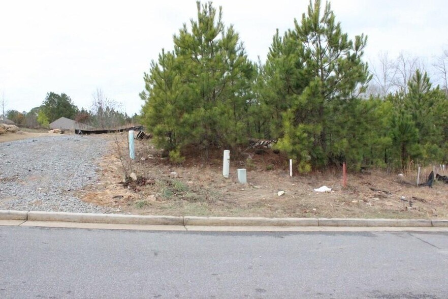 More Photos Of 213 Village Ln, Woodstock Land For Sale