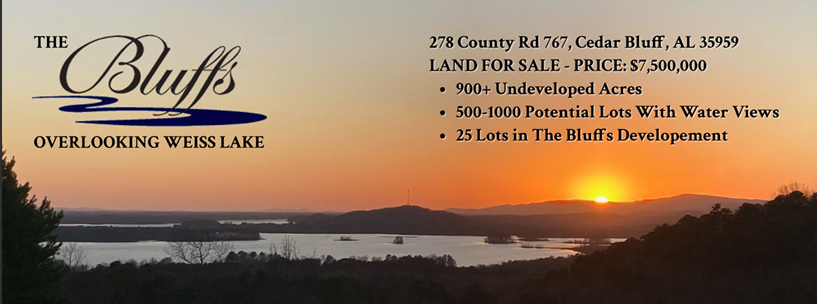 Primary Photo Of 278 County Road 767, Cedar Bluff Land For Sale