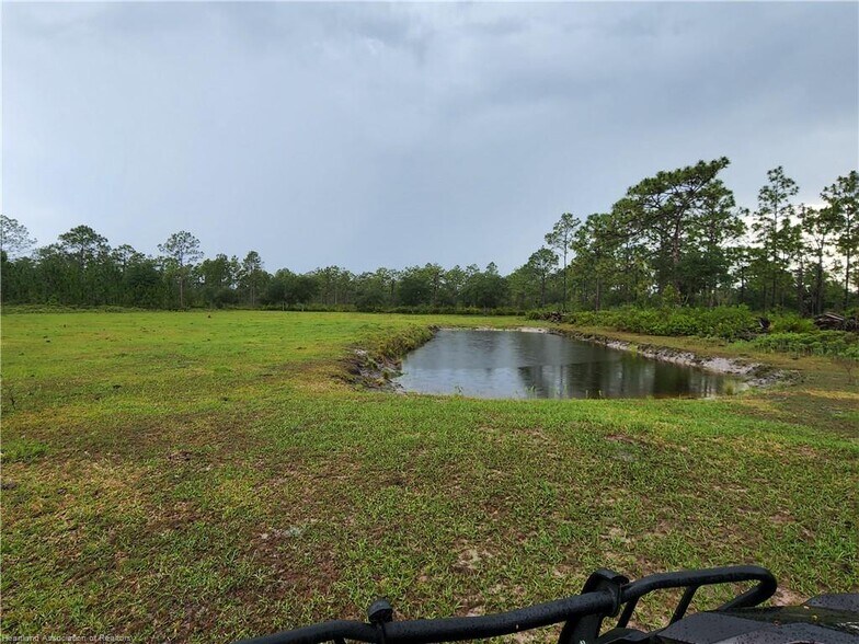 More Photos Of 17470 County Road 731, Venus Land For Sale