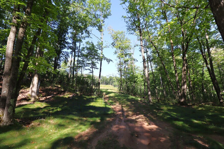 More Photos Of 35480 Whitetail Ave, Bayfield Land For Sale