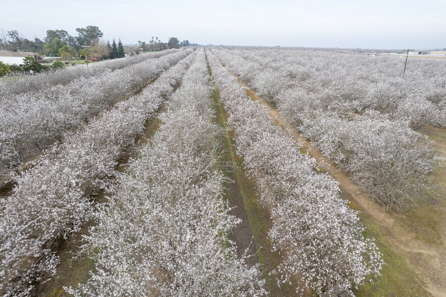 More Photos Of Golden State Hwy @ Rd 22, Madera Land For Sale