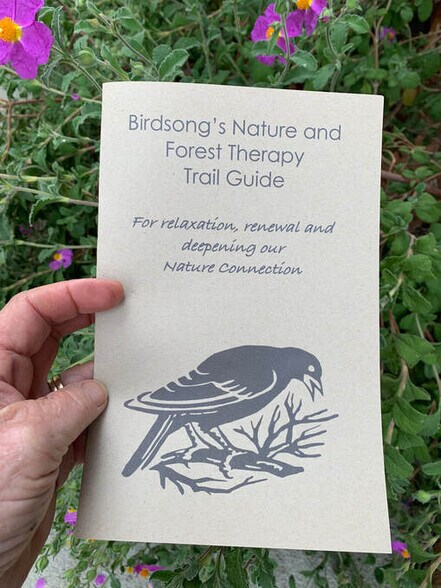 More Photos Of 30415 Chihuahua Valley Rd, Warner Springs Land For Sale