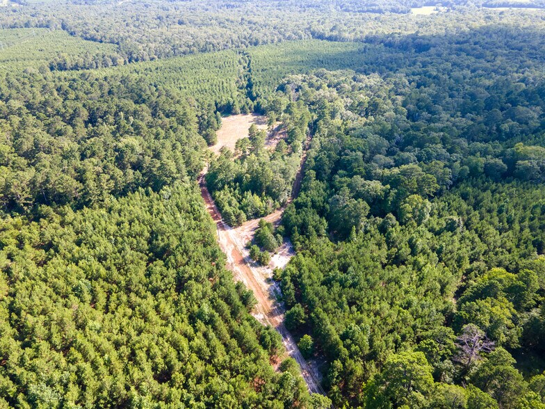 More Photos Of 2539 FM 995, Atlanta Land For Sale