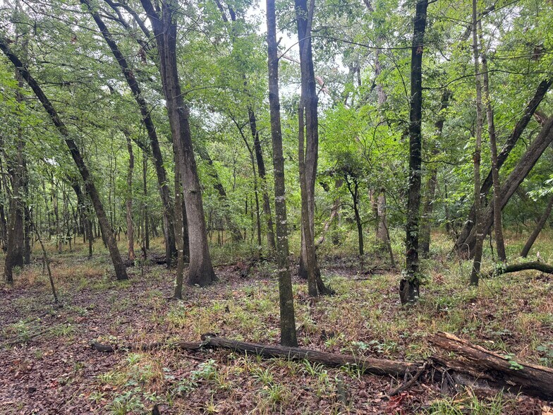 More Photos Of Highway 276, Quinlan Land For Sale
