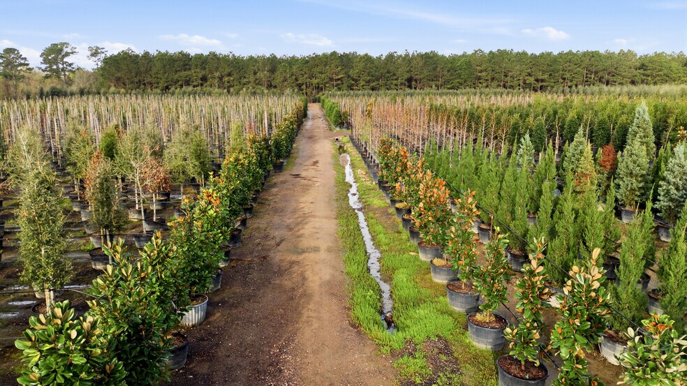 More Photos Of 28287 Hegar Rd, Hockley Land For Sale