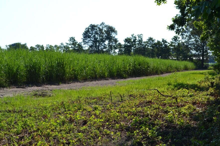 More Photos Of 5818 N Freetown Rd, New Iberia Land For Sale