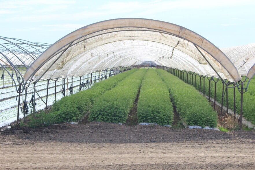Primary Photo Of 0 Wood Rd, Oxnard Land For Sale