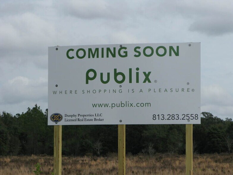 More Photos Of 31157 State Road 52, San Antonio Land For Sale