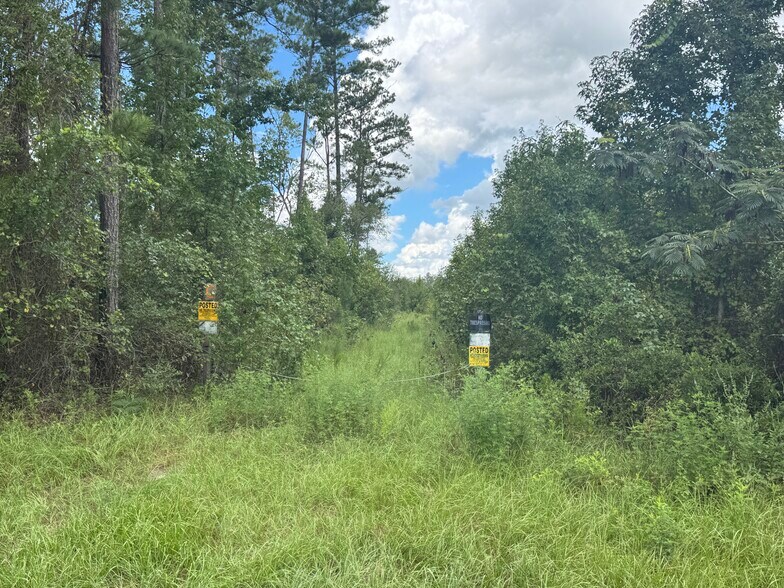 More Photos Of Noah Raulerson Road, Sanderson Land For Sale