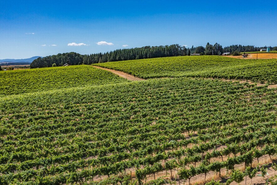 More Photos Of 10845 Brateng Rd, Monmouth Winery Vineyard For Sale