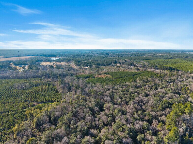 More Photos Of 55750 Lottie Rd, Perdido Land For Sale