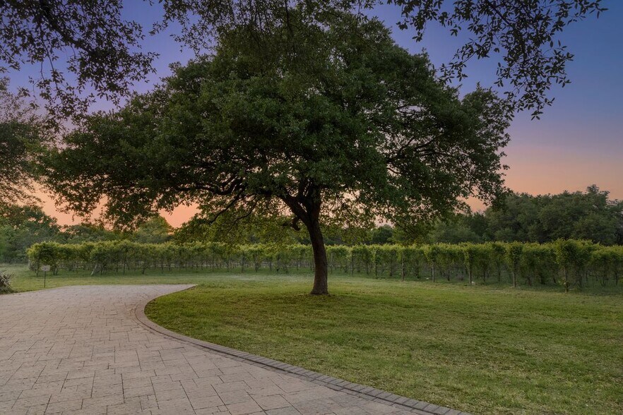 More Photos Of 18059A Ranch to Market Road 1826, Driftwood Winery Vineyard For Sale