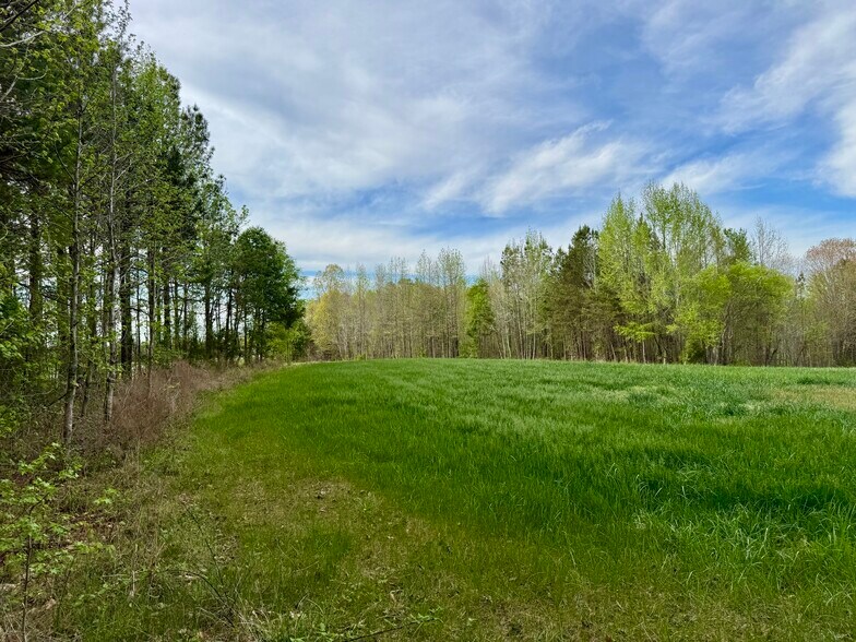 More Photos Of 12301 NC-86, Prospect Hill Land For Sale