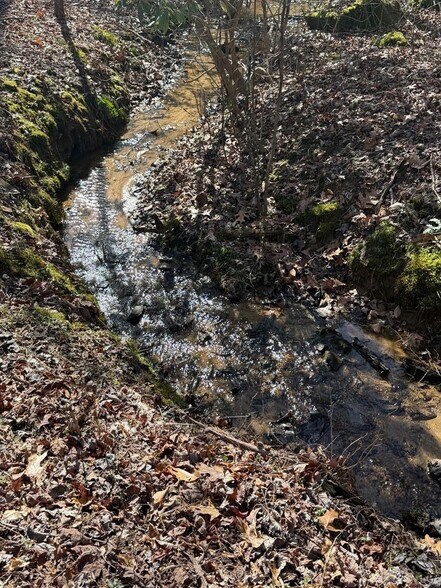 More Photos Of 1207 Bullen Gap Rd, Blue Ridge Land For Sale