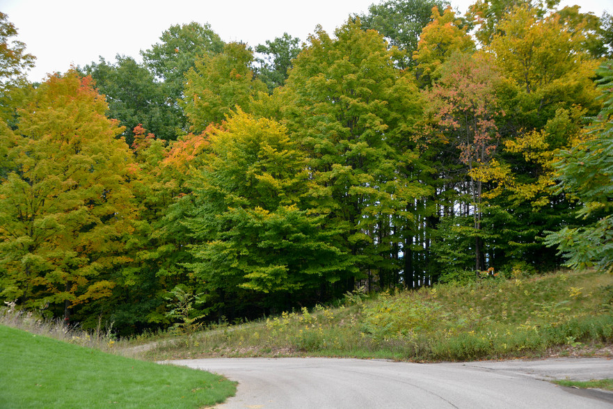 Primary Photo Of E Carter Rd, Traverse City Land For Sale