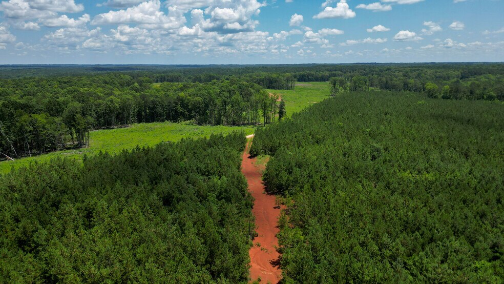 Primary Photo Of Muckaway Rd, Abbeville Land For Sale