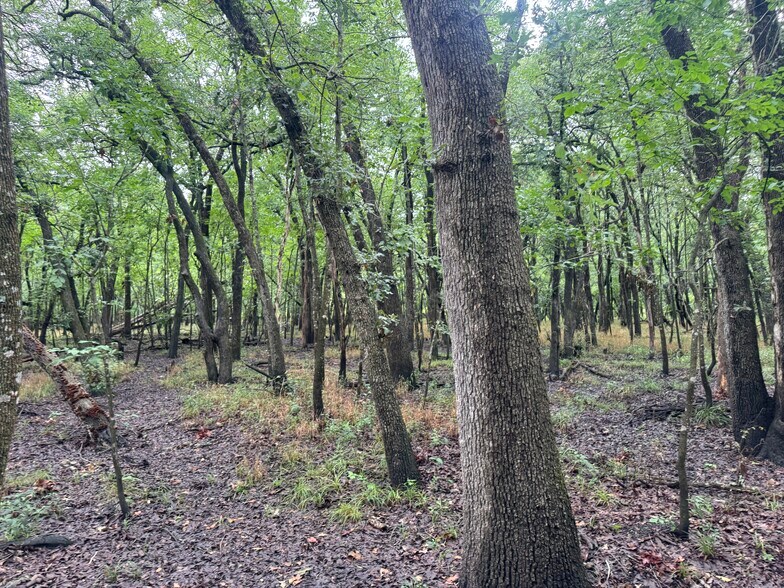 More Photos Of Highway 276, Quinlan Land For Sale