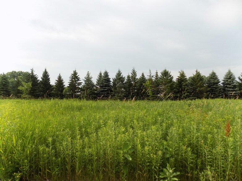 More Photos Of 8X8 Meander Ct, Medina Land For Sale