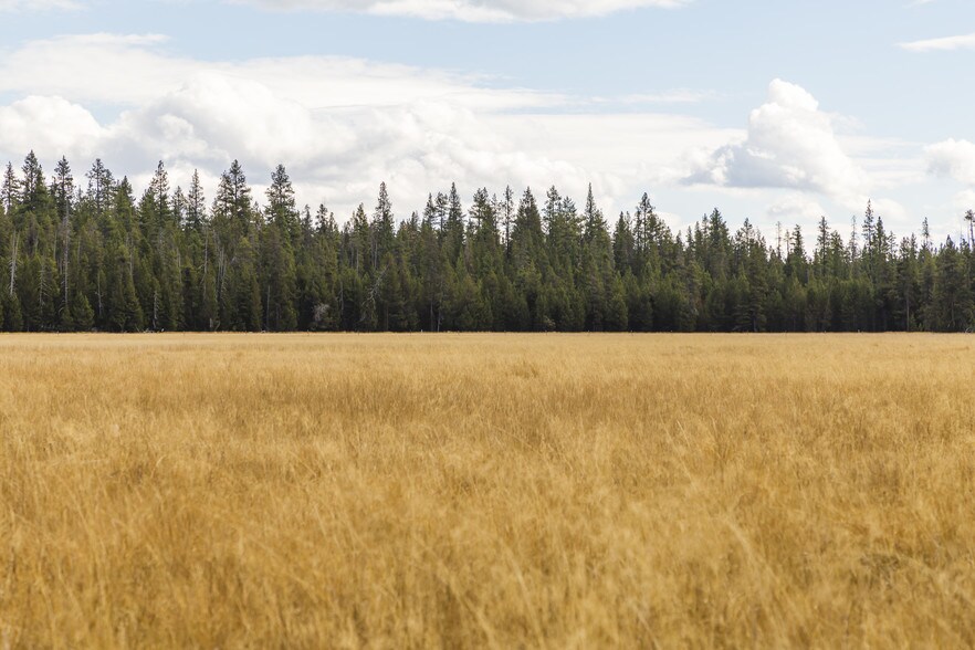 More Photos Of US Forest Service Rd, Silver Lake Land For Sale