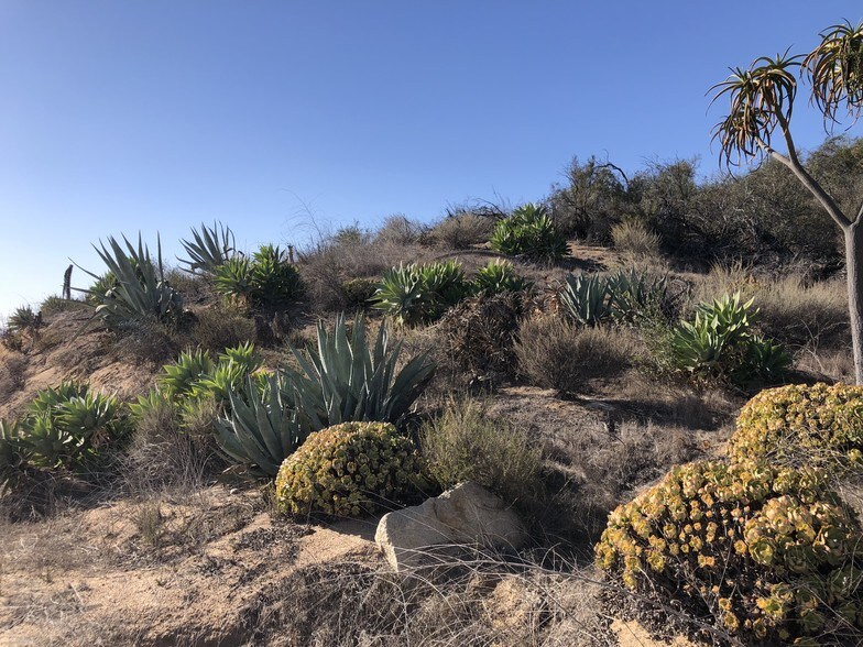 More Photos Of De Luz Road & Supale Ranch Rd @ De Luz Road, Fallbrook Land For Sale