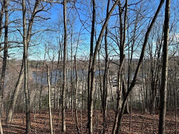 More Photos Of 160 Brookline St, Worcester Land For Sale