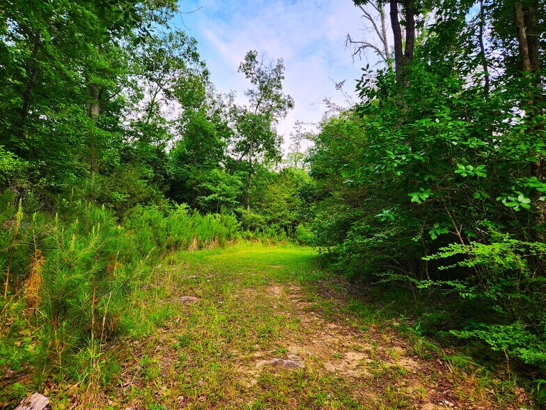 More Photos Of 2725 White Rd NE, Conyers Land For Sale