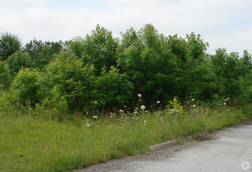 More Photos Of Al-77, Rainbow City Land For Sale
