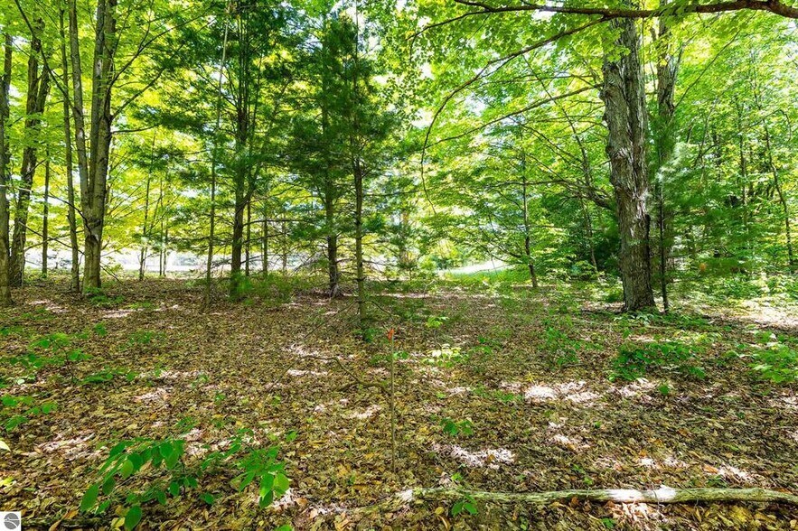 More Photos Of 7764 Weldon Road rd, Thompsonville Land For Sale