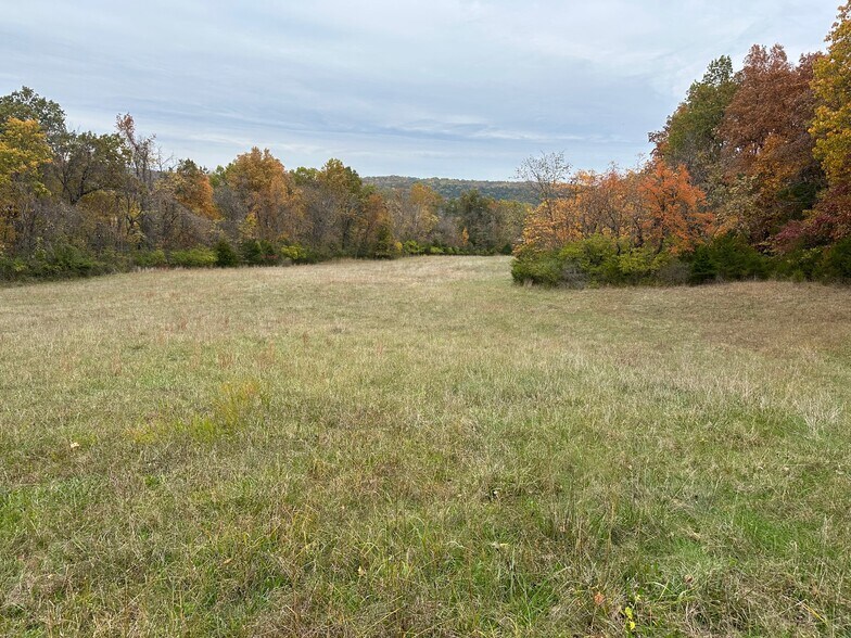 More Photos Of 6707 Saint Lukes Church Rd, Barnhart Land For Sale