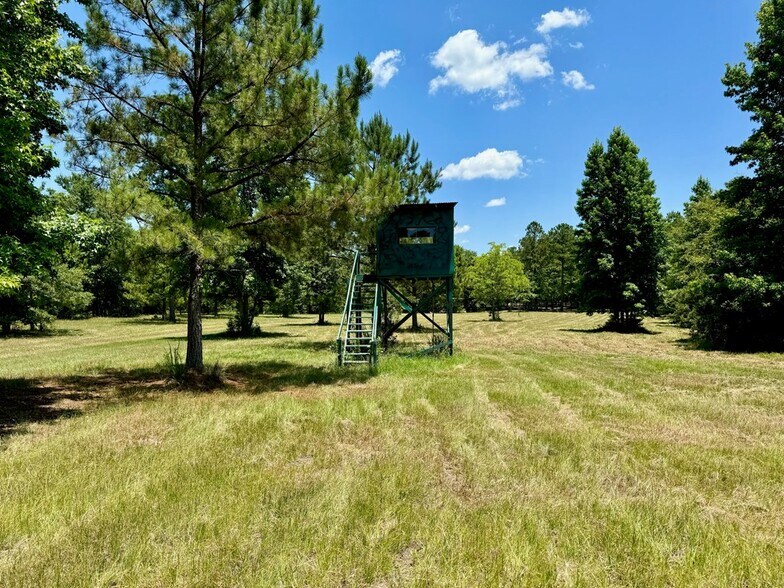 More Photos Of 241 Foskey Cemetery Rd, Adrian Land For Sale