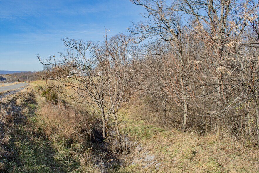 More Photos Of Remainder T.M Opequon Connector rd, Kearneysville Land For Sale