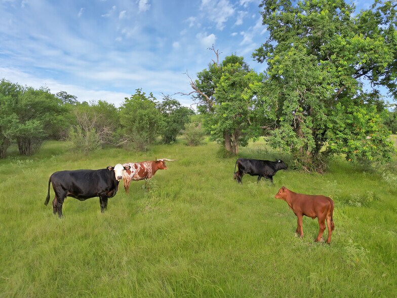 More Photos Of 868 Lisa Mae rd, Bellville Land For Sale