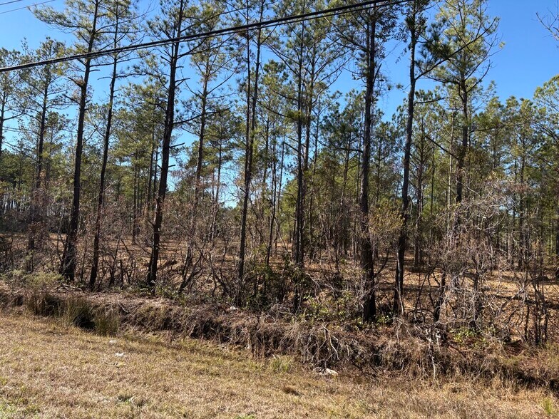 More Photos Of North Fraser St, Georgetown Land For Sale