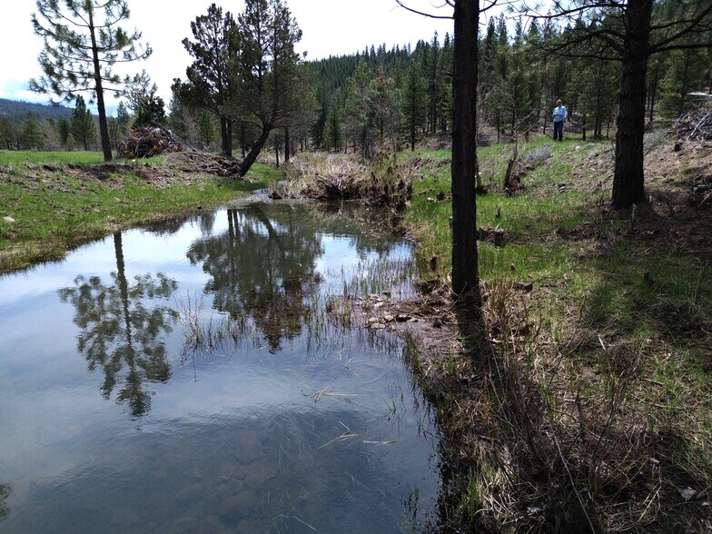 More Photos Of 000 Roney Flat Road, Adin Land For Sale