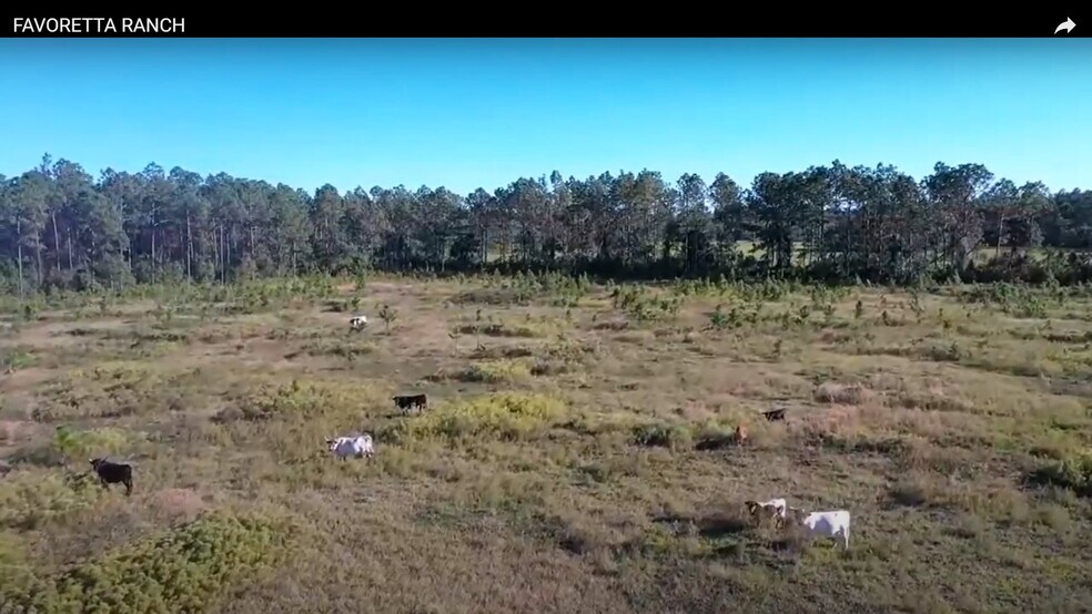 More Photos Of 0 Favoretta (County 200) Rd, Bunnell Land For Sale