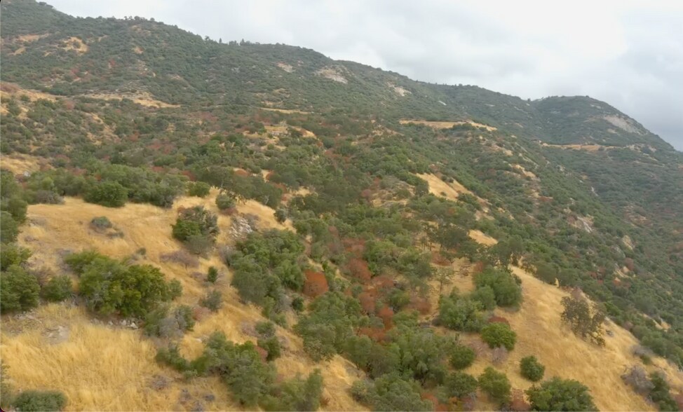 More Photos Of 000 Dunlap Ave, Dunlap Land For Sale