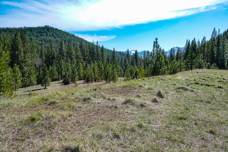 More Photos Of 6409 Kangaroo Creek Rd, Gazelle Land For Sale