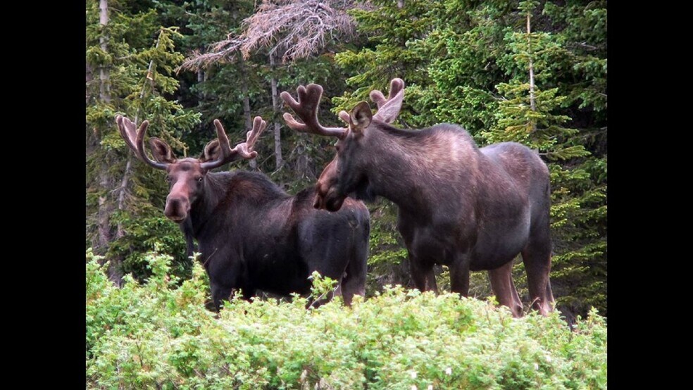 More Photos Of 1124 State Highway 11, Laramie Specialty For Sale