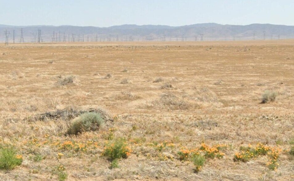 More Photos Of West 120th Street @ Avenue E 8, Lancaster Land For Sale