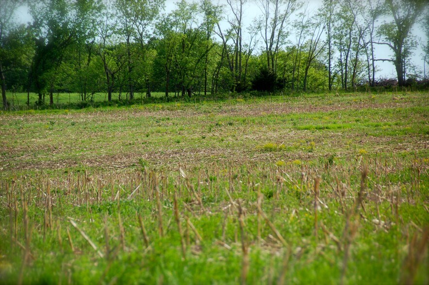 More Photos Of 710 E Elm St, Gallatin Land For Sale