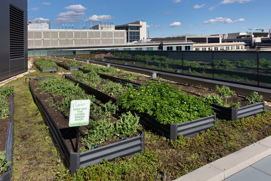 More Photos Of 733 10th St NW, Washington Office For Lease