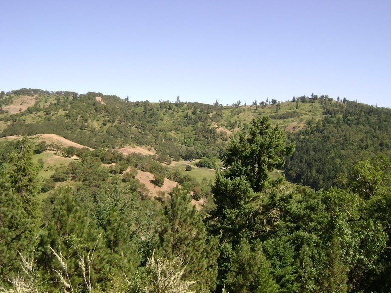 More Photos Of Newton Creek Rd, Roseburg Land For Sale