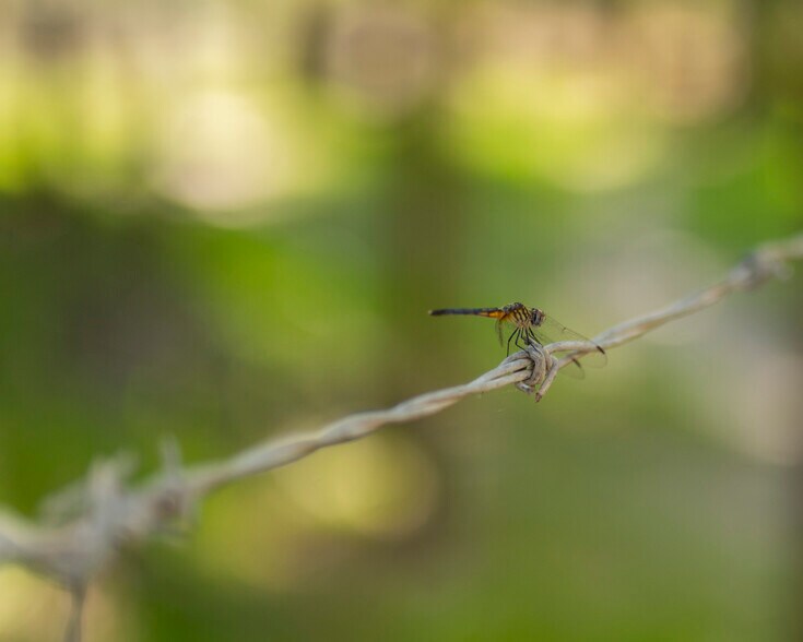 More Photos Of SW Addison #A ave, Arcadia Land For Sale