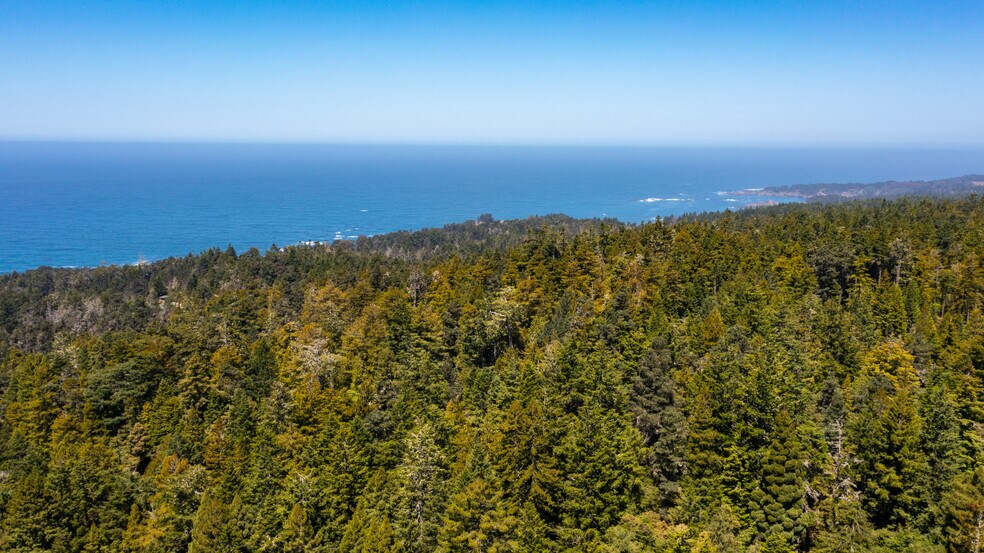 More Photos Of 33170 Frog Pond rd, Little River Land For Sale