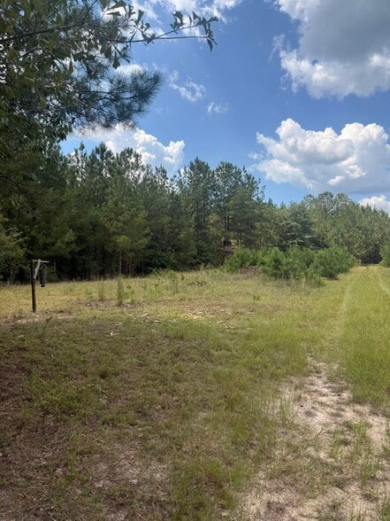 More Photos Of 333 Samuel Dr, Springfield Land For Sale
